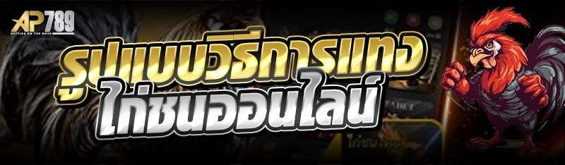 รูปแบบวิธีการแทงไก่ชนออนไลน์